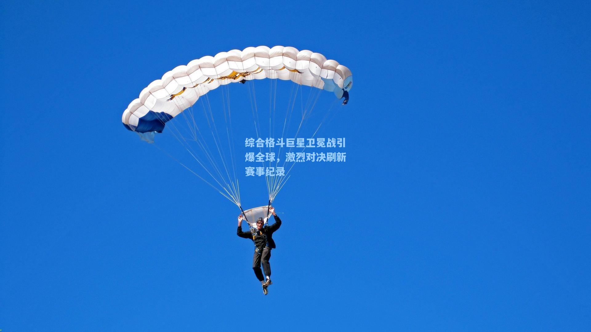 综合格斗巨星卫冕战引爆全球，激烈对决刷新赛事纪录